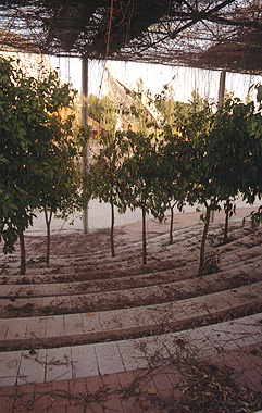 Verwildernde Ruhezonen an der Plaza del Futuro im Jahr 2000